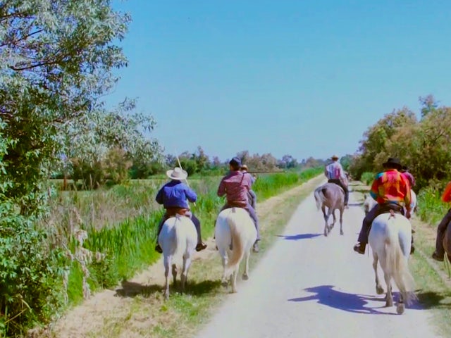 Video: Meet a Cowboy... in France