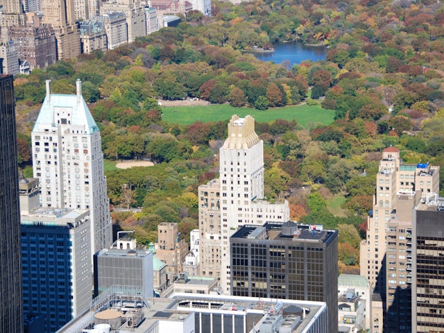 Central Park & Fifth Avenue