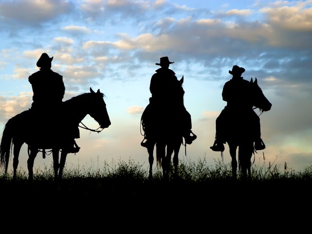 The Spirit of The West - Ed Peake 2011