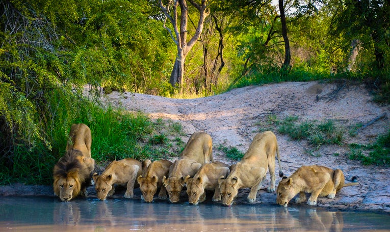 Manyoni Private Game Reserve