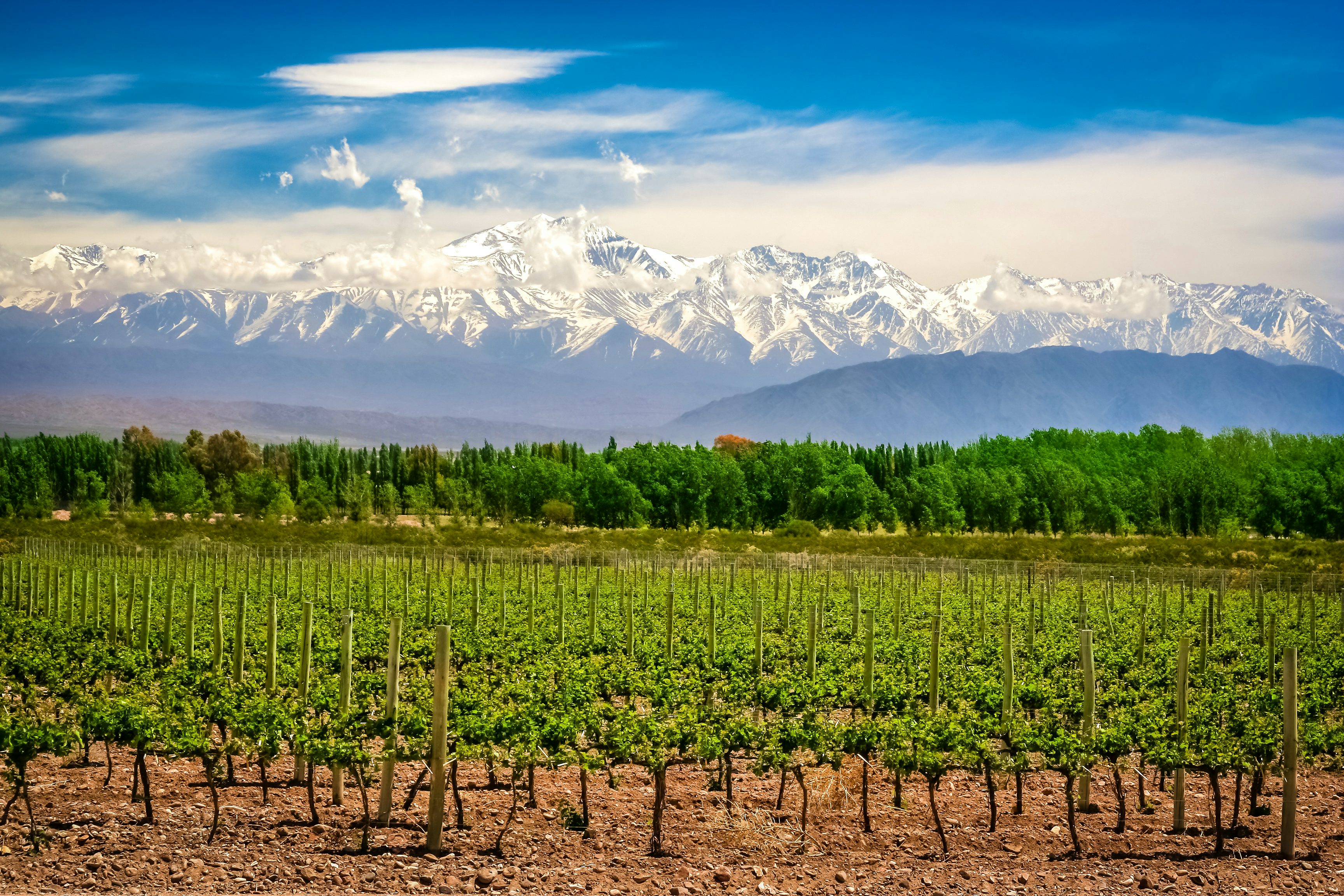 Argentina's Currency Loss Is Tourists' Gain