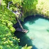Apia