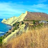 Napier