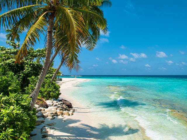 The Best Island Honeymoon Destinations On Earth