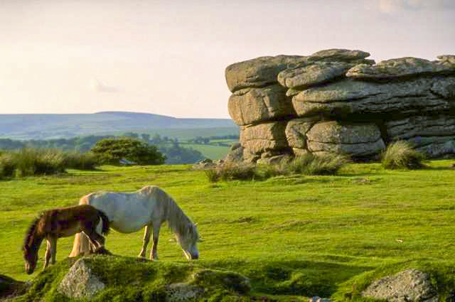 Plymouth - Dartmoor NP