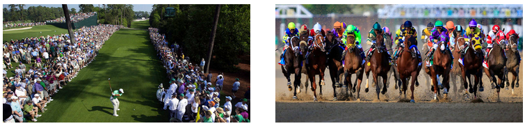 Sports Travel Experience