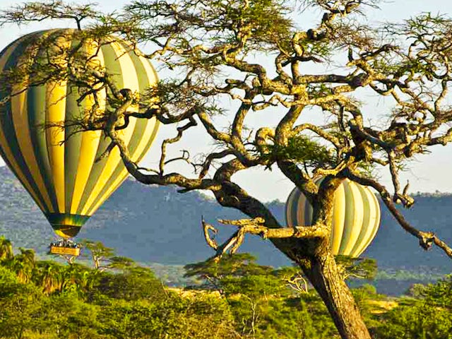 Tanzania Royal Safari