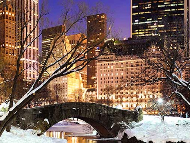 Spotlight on New York City Holiday