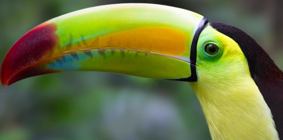 Belize