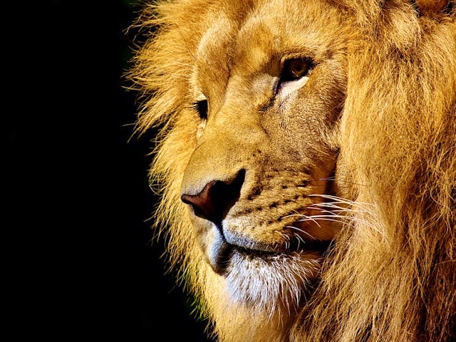 Experience South Africa