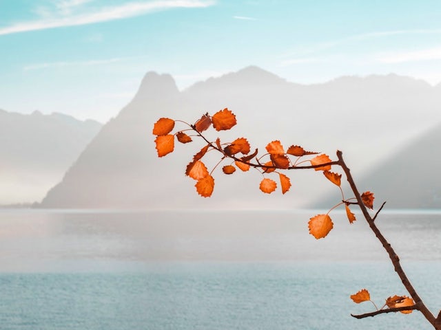 JWH TRAVEL BITS AND MORE...September 13, 2019