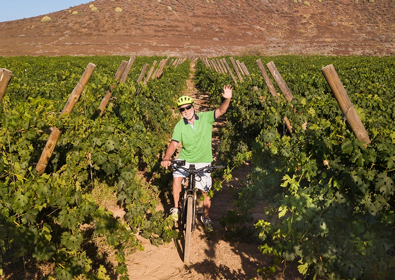 riding vineyard
