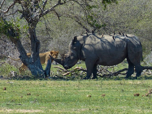 Kruger National Park