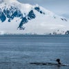 Haines